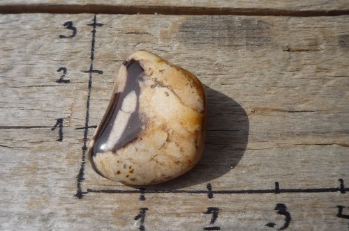 Jaspis kalahari P272 — foto 2