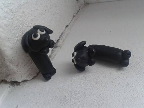 Jezevčík-černý — foto 5