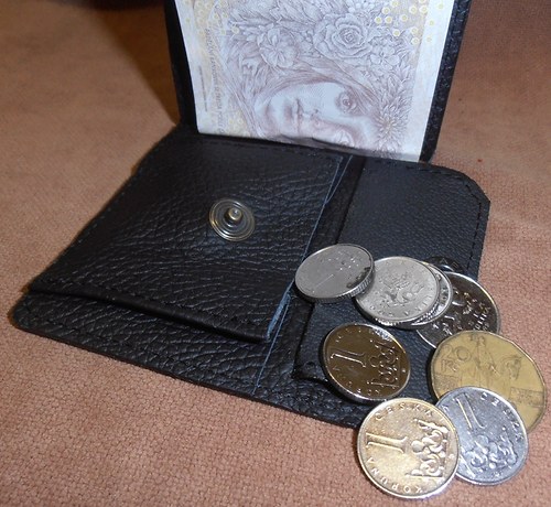 Peněženka "dolarka" — foto 2