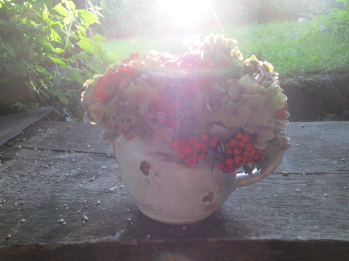 Ráno — foto 3