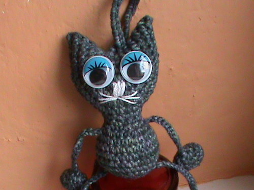 Kocour modroočko — foto 3