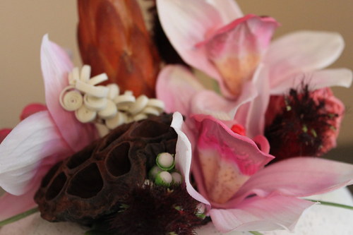 Zas ta orchidej... — foto 3