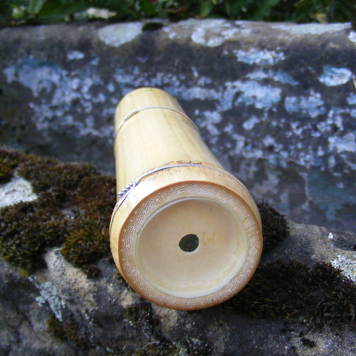 Krasohled bambus — foto 2