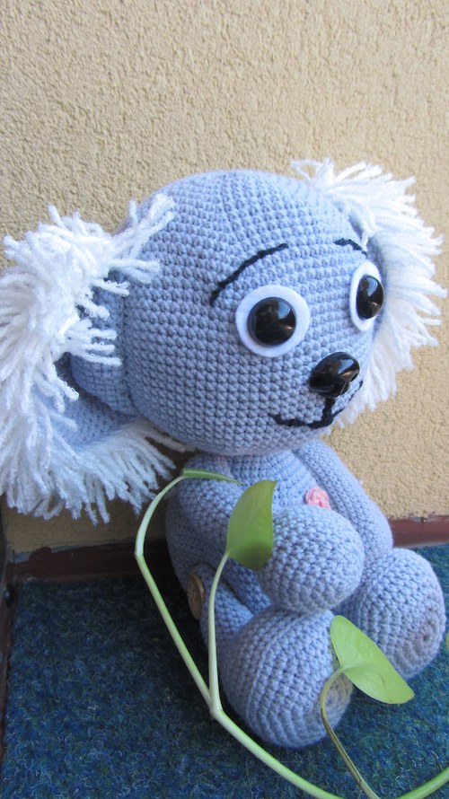 Medvídek koala — foto 4