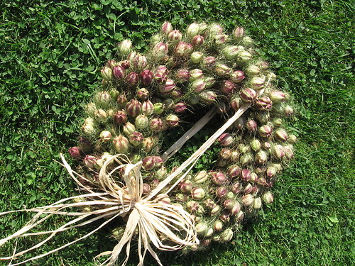 Svázaná černucha — foto 2