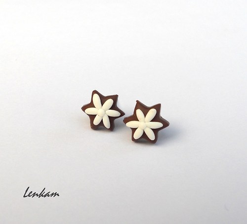 Hvězdičky z perníku — foto 4