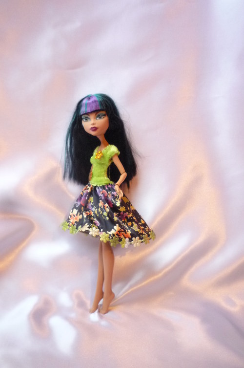 Pro Monster High — foto 4