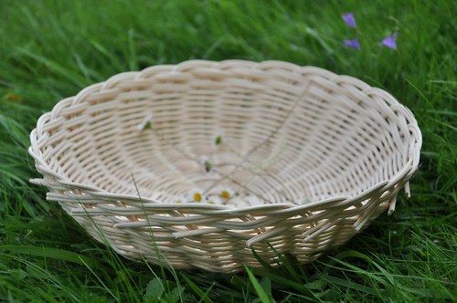 Ošatka, průměr 25 cm — foto 2