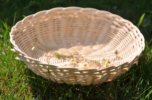 Ošatka, průměr 25 cm — foto 3