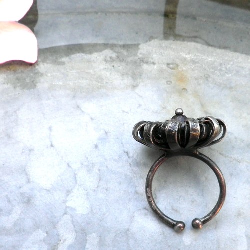 Chryzantéma — foto 2