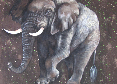 Elefant, na objednávku — foto 4