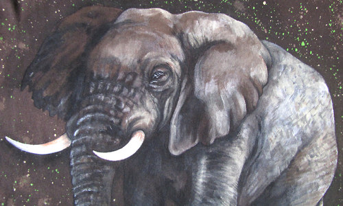 Elefant, na objednávku — foto 6