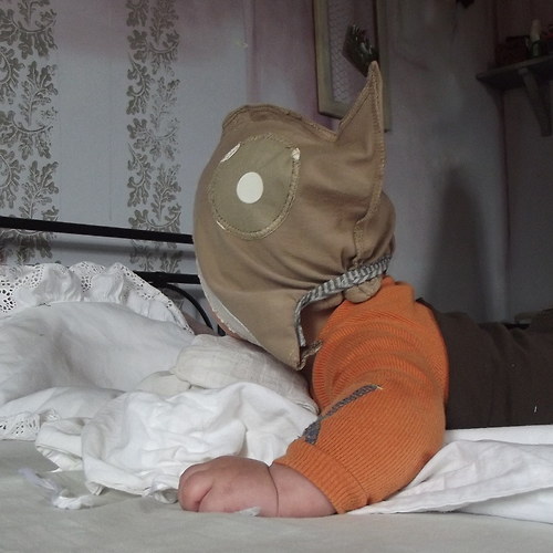 Mimiskřítkočapka...ježčí:-) — foto 3