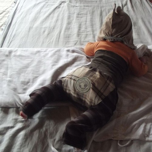 Mimiskřítkočapka...ježčí:-) — foto 5