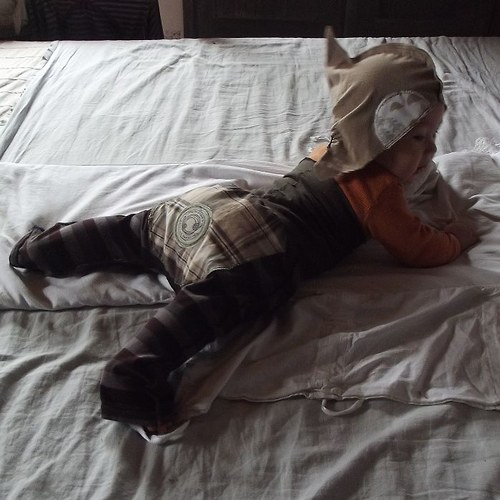 Mimiskřítkočapka...ježčí:-) — foto 6