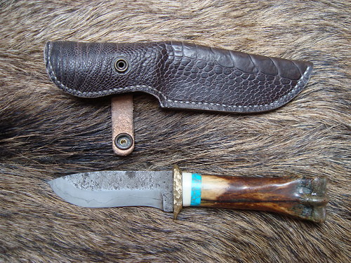 Safari — foto 2