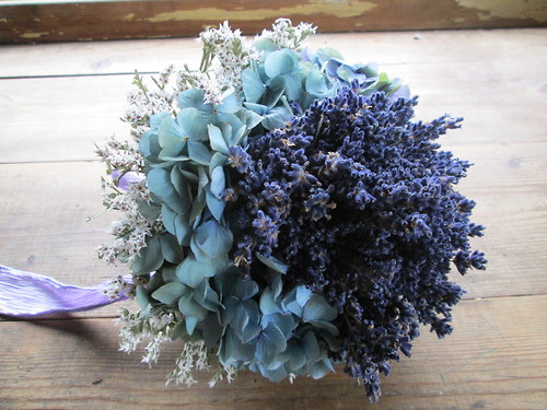 Levadulovka hortenziová — foto 3