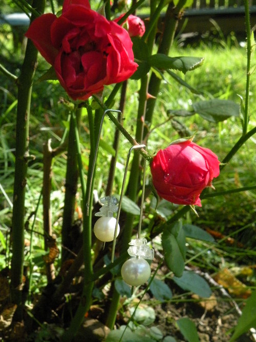 Křišta — foto 3