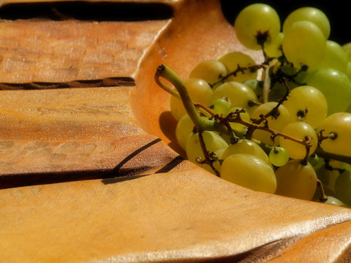 Na révu a jinou úrodu ... — foto 2