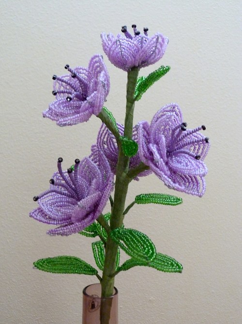 Fialová kráska — foto 3