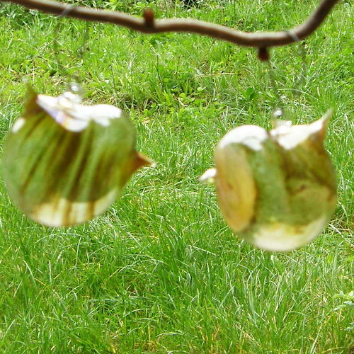 Dva kamarádi — foto 3