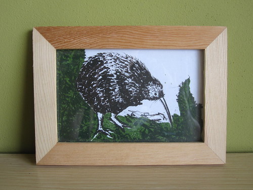 Kivi — foto 3
