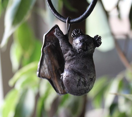 Pan M.Koala — foto 4