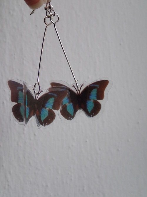 Le petit papillon — foto 2