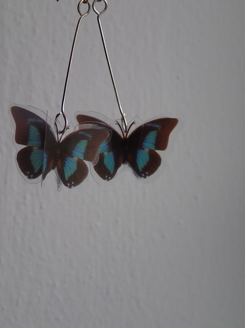 Le petit papillon — foto 3