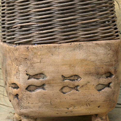 Rybky plují — foto 2