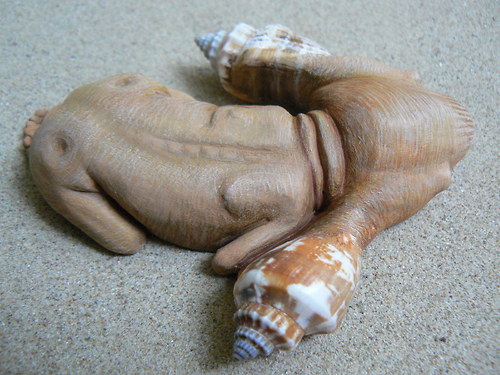 Vrtáček štítonosý — foto 2