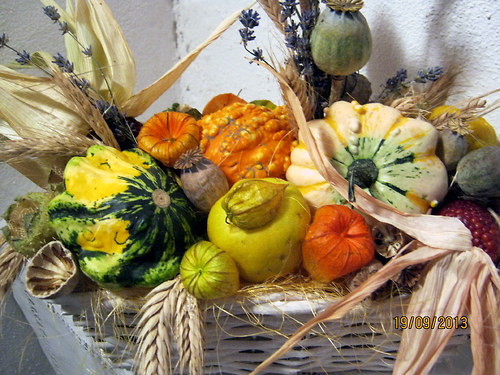 Podzimní truhlík -velký — foto 6