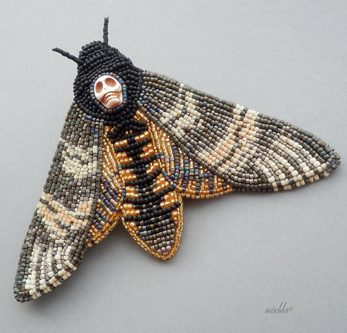Brož "Acherontia atropos" — foto 4