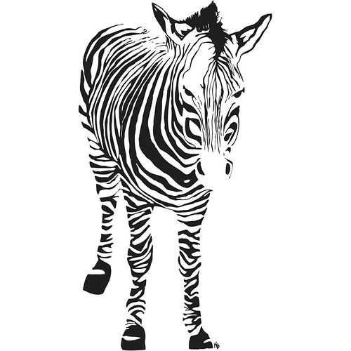 Zebra,dámské tričko, krátký rukáv — foto 6