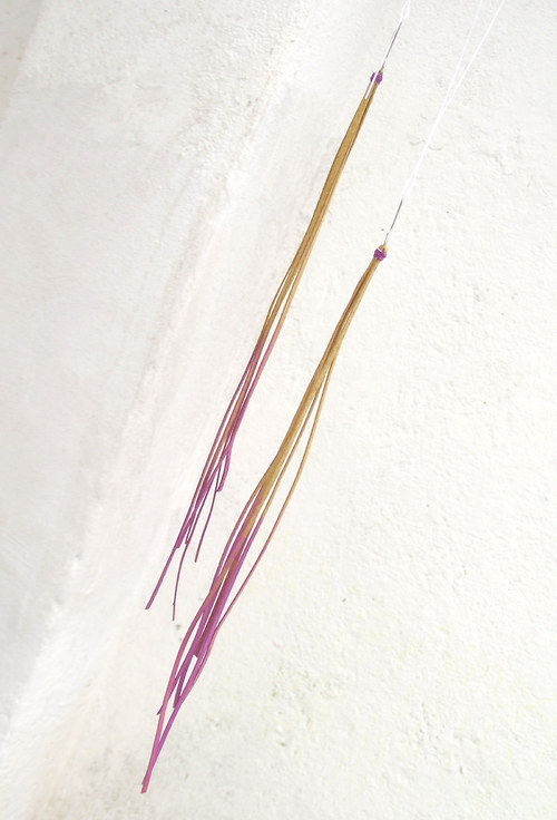 Long // podzimní I — foto 2