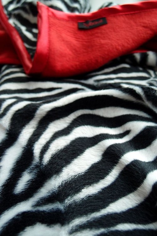 DEKA Zebra červená, červený lem — foto 4