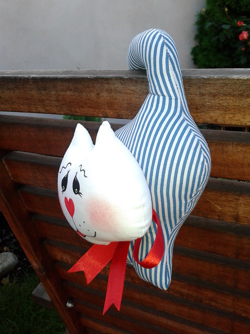 Kočka - modrý proužek — foto 2
