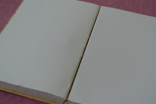 Knoflíkáč — foto 2