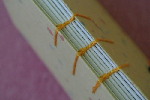 Knoflíkáč — foto 3