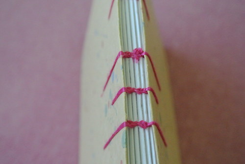 Knoflíkáč větší — foto 2