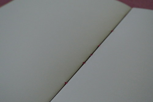 Knoflíkáč větší — foto 3