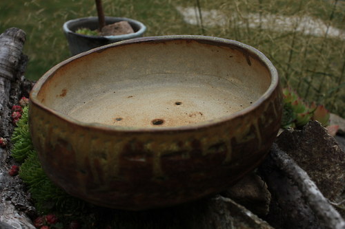 Bonsajková miska — foto 3