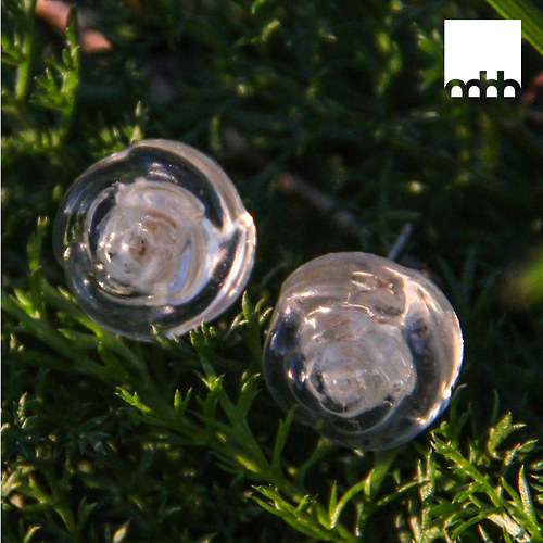 Rosa v mechu 2 — foto 2