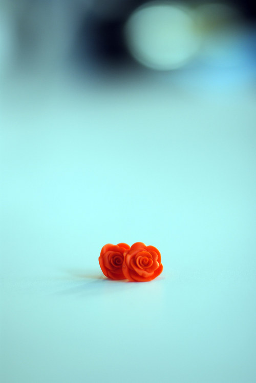 Oranžové — foto 2