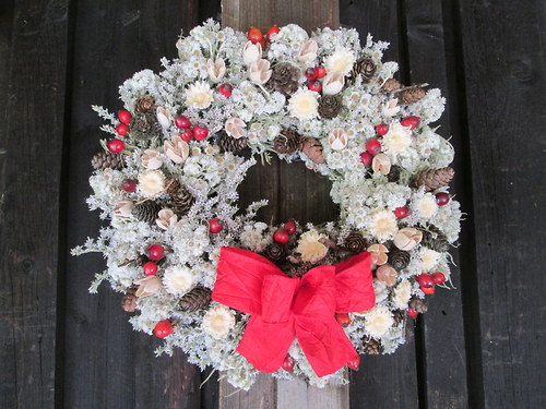 Trochu mrzne — foto 3