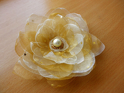 Leknín "Goldie" — foto 3