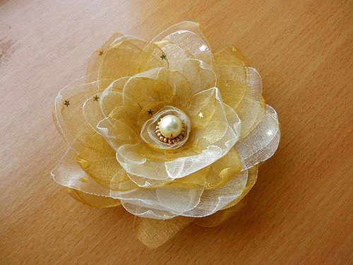 Leknín "Goldie" — foto 5
