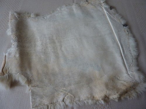 Králík — foto 2