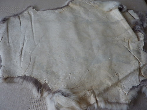 Králík — foto 2
