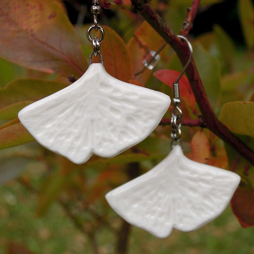 Ginkgo — foto 2